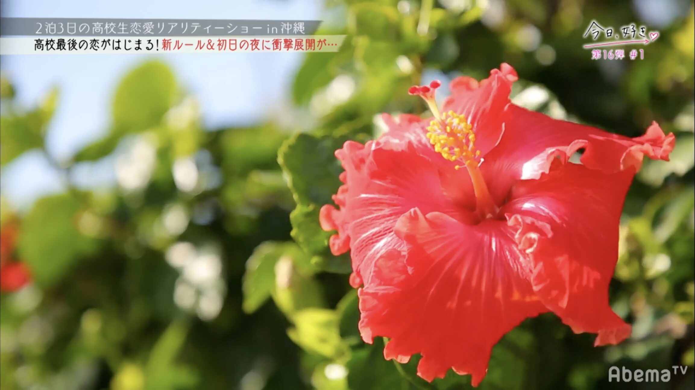 今日好き第16弾ロケ撮影地